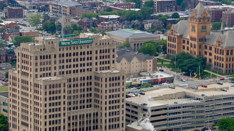 wayne-state